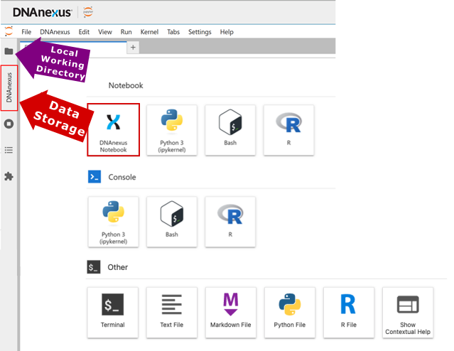 Screenshot of the DNAnexus JupyterLab launcher interface. Two arrows are overlaid: "Local Working Directory" points to the top section of the left sidebar, and "Data Storage" points to the DNAnexus tab below it. The main panel shows kernel options for notebooks (DNAnexus Notebook, Python 3, Bash, R), console, and other file types.