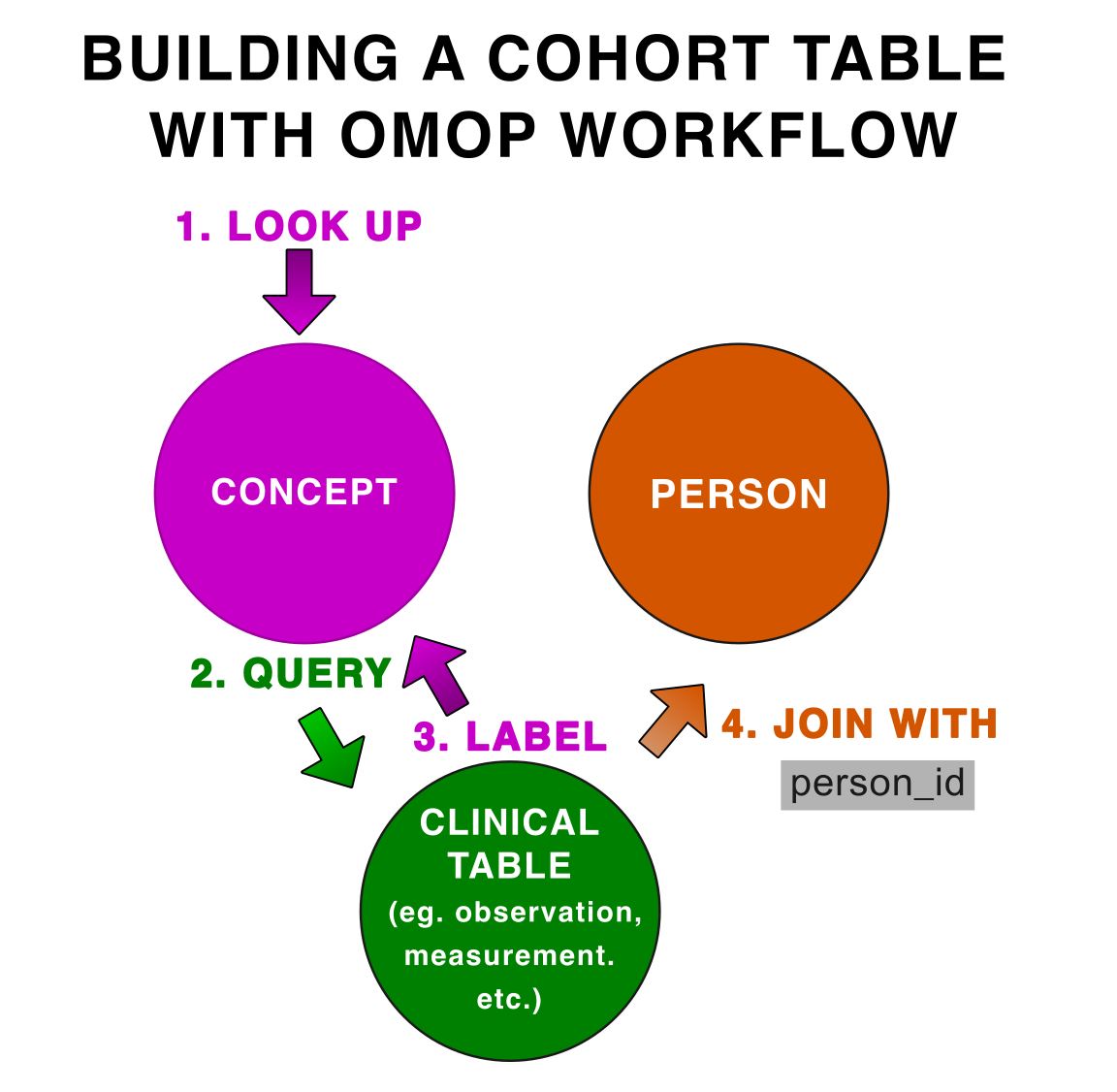 Diagram showing the four-step OMOP workflow: look up concept IDs, query a clinical table (e.g., measurement, observation), label values with concept names, and join with person_id to build a cohort table.