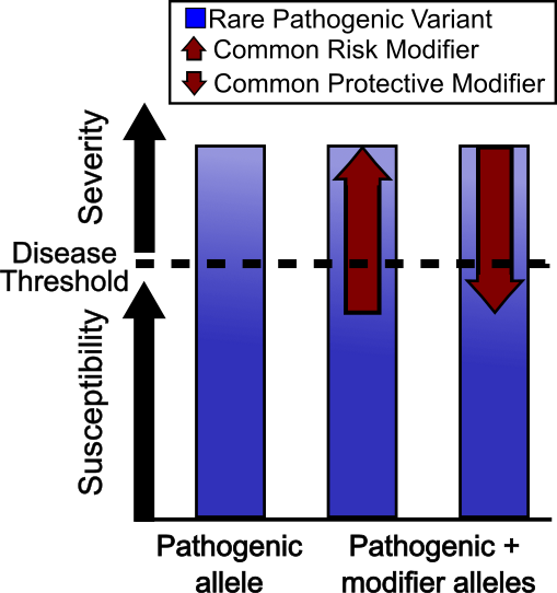 Bar chart illustrating the inherited threshold model of disease. The first bar shows complete penetrance in variant carriers; subsequent bars show decreasing penetrance due to common genetic modifiers.