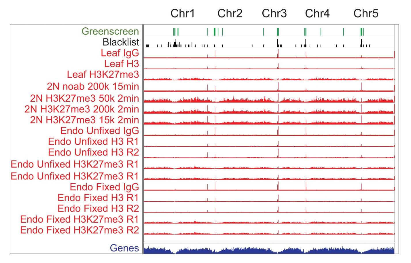IGV browser screenshot showing greenscreen and blacklist tracks above bedgraph signals for IgG, H3, and H3K27me3 in Arabidopsis. Greenscreen and blacklist regions align with ultrahigh peaks from mapped reads, indicating shared artifacts across experiments.